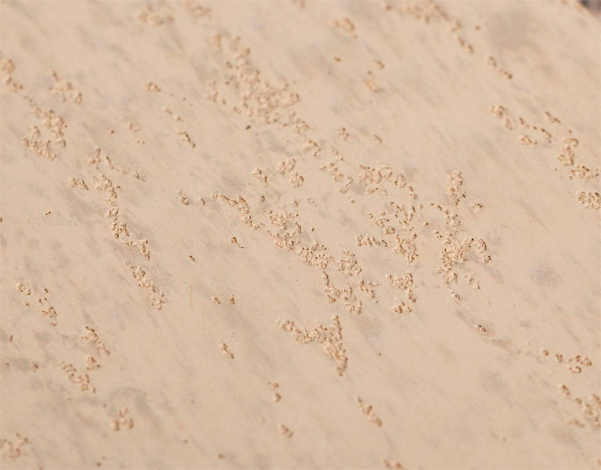 ZKO中凯 洞石涂料